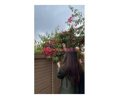 reliable -Call Girls in Naraina Delhi – 24/7 Online