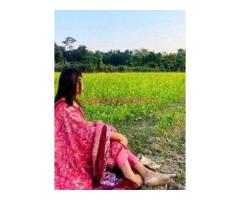 Call girls in Delhi Mehrauli– 844>7xx>xxxx꧅ ✔✔Escorts Servickn